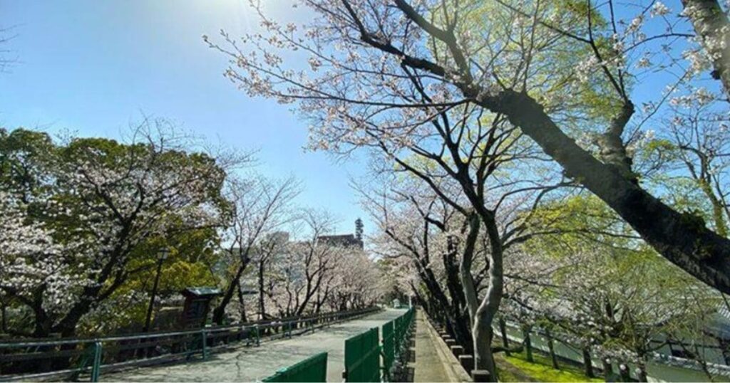 熊本城行幸坂