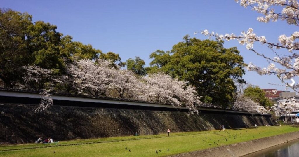 熊本城長塀通り