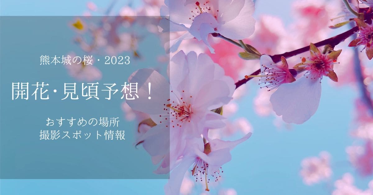 青空の下に咲くさくら