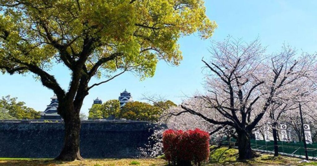 熊本城二の丸公園